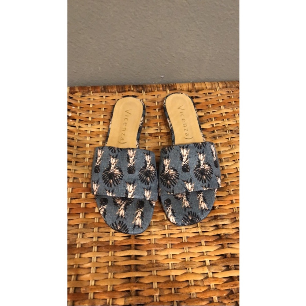 Vicenza Slides